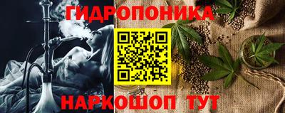 стаф Канаш