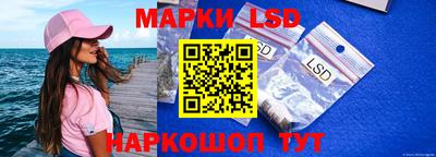 PSILOCYBIN Камышлов