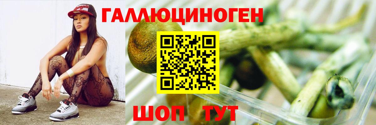 Кузнецк  Галлюциногенные грибы Cubensis  как найти   Галлюциногенные грибы мицелий  Вход с VPN 