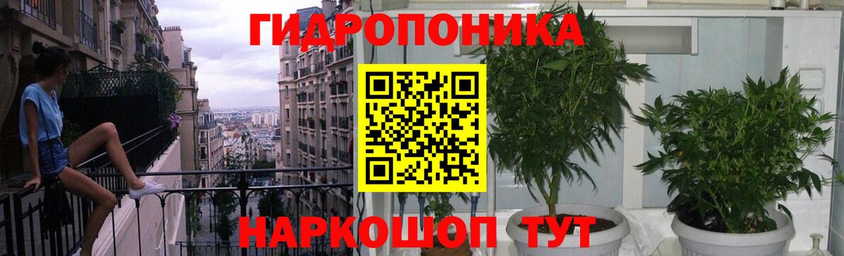 Гашиш Кузнецк